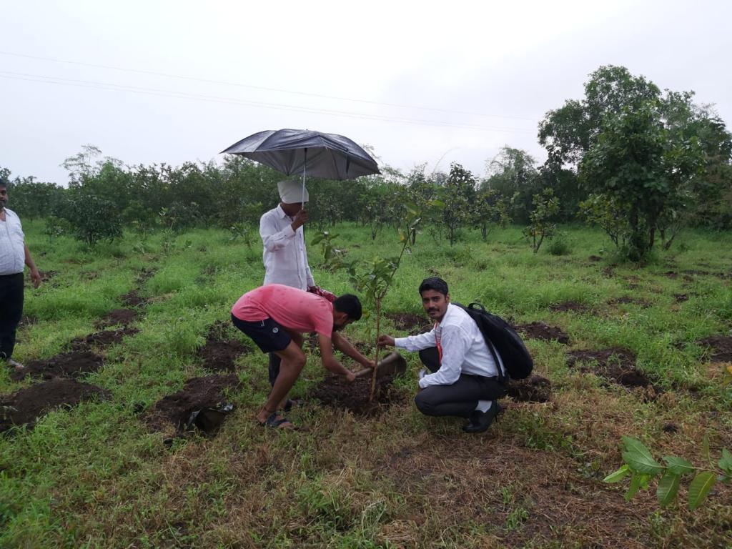 Plantation Drive