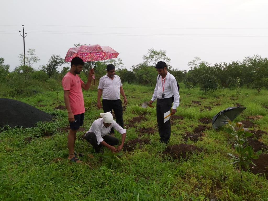 Plantation Drive