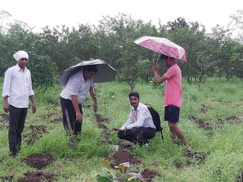 Plantation Drive