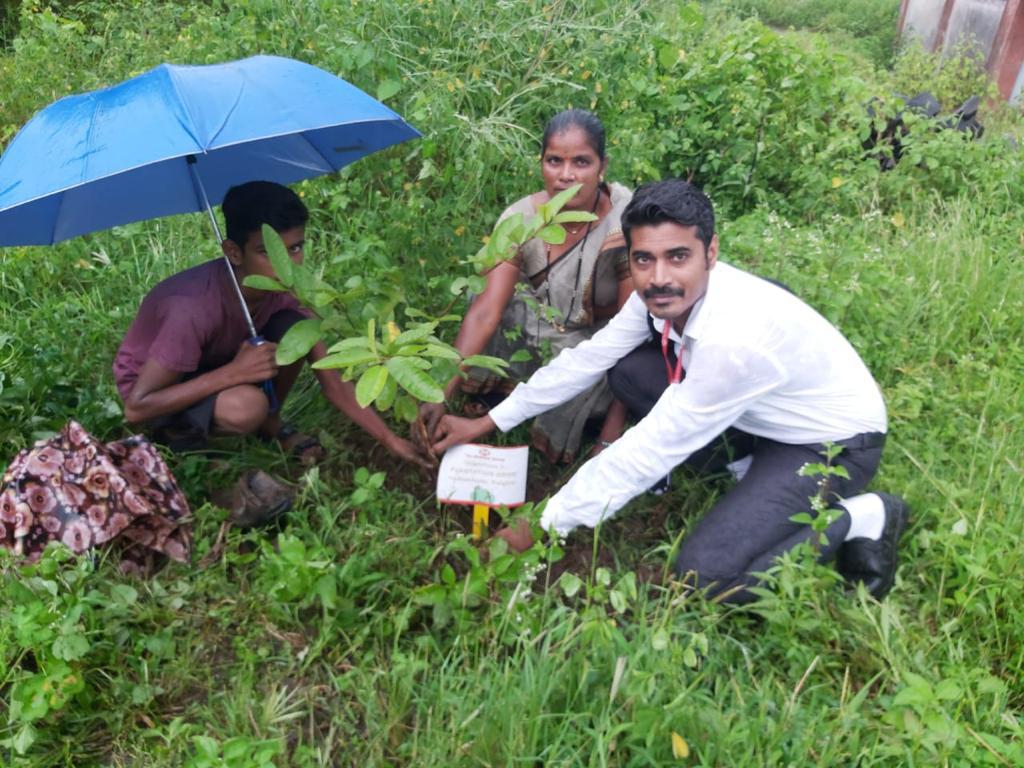 plantation drive